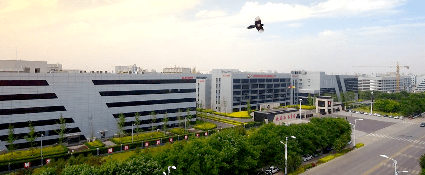 Our Governance Our Governance